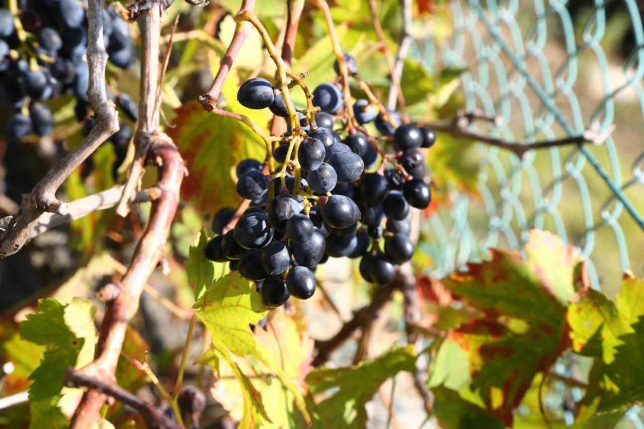 PontedassioCasa Mari别墅 外观 照片