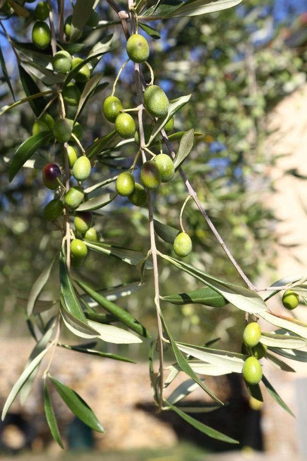 PontedassioCasa Mari别墅 外观 照片